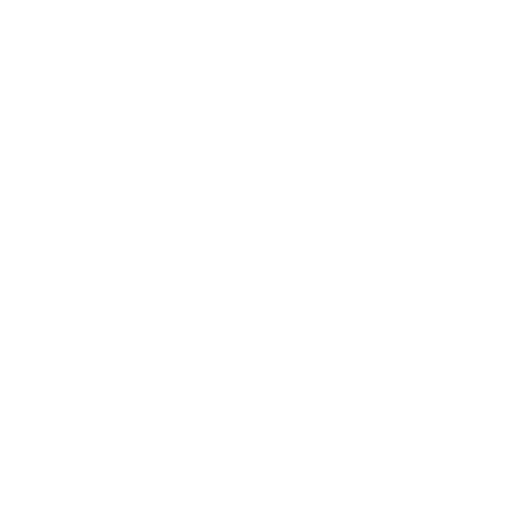 Canal 11